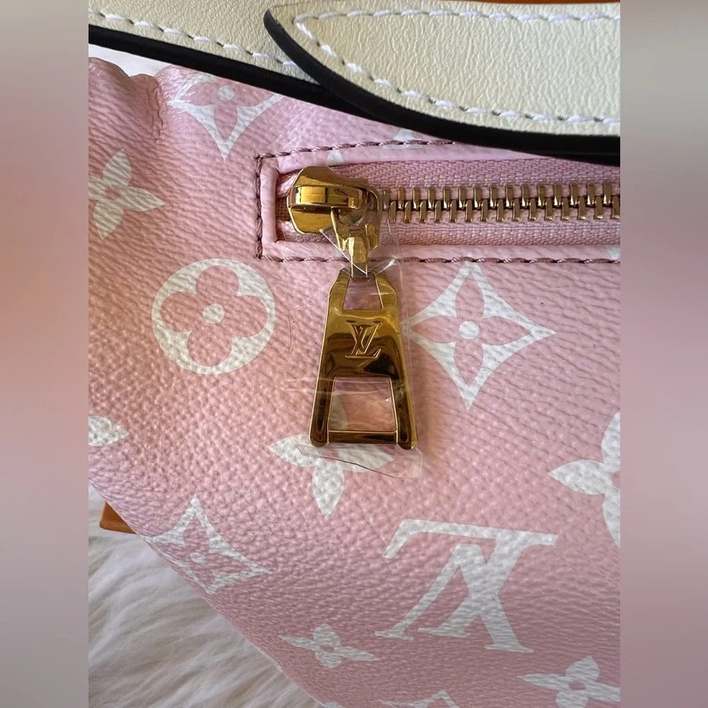 SOLD!!🔥🔥NWOT Louis Vuitton Giant Bumbag Limited Edition🔥🔥 - Picture 7 of 9